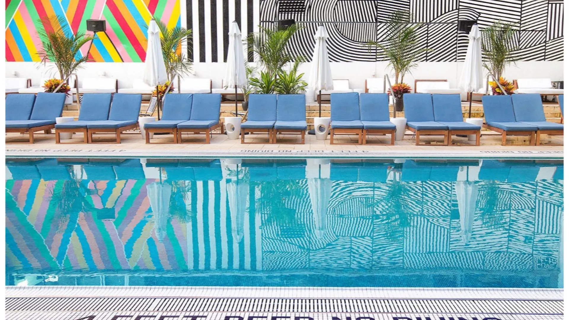 Coda Williamsburg New York Hotel