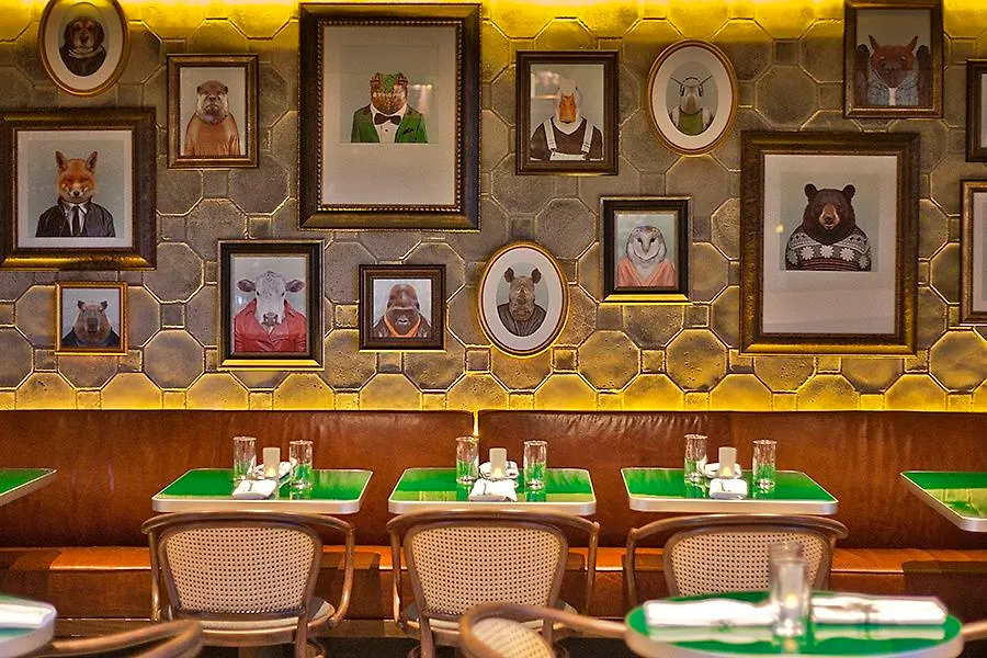 Coda Williamsburg New York United States
